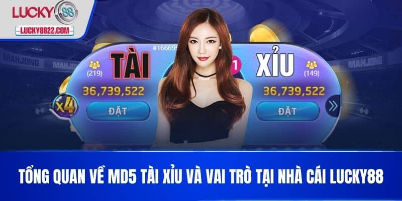 Tổng quan về Md5 tài xỉu và vai trò tại nhà cái LUCKY88