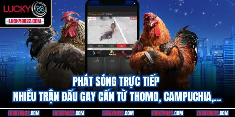 Phát sóng trực tiếp nhiều trận đấu gay cấn từ Thomo, Campuchia,...