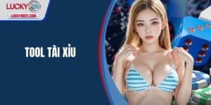 tool tài xỉu